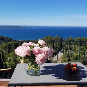  Appartement Simone